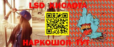 стаф Камышлов
