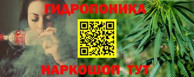стаф Камышлов