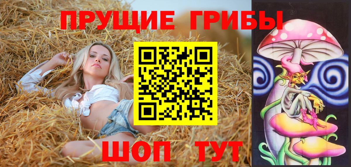 Чистополь  Псилоцибиновые грибы MAGIC MUSHROOMS  Вход с VPN 
